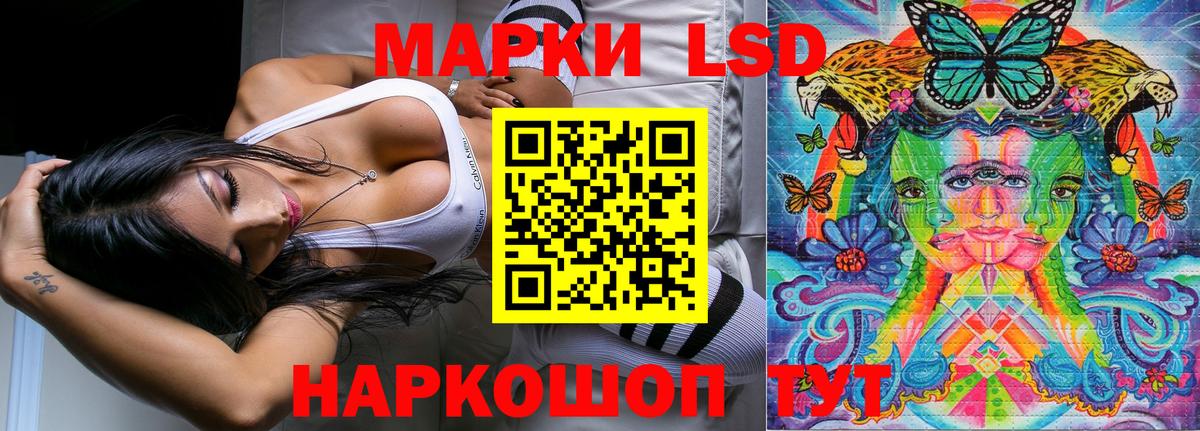 Наркотические марки 1,5мг  Наркотические марки 1,5мг  Вход с VPN  Наркотические марки  Богданович 
