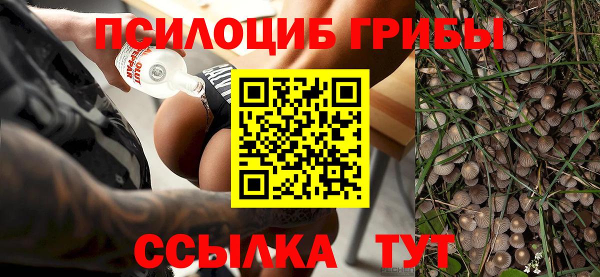 Галлюциногенные грибы прущие грибы Богданович
